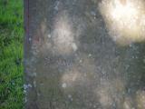 image of grave number 833302